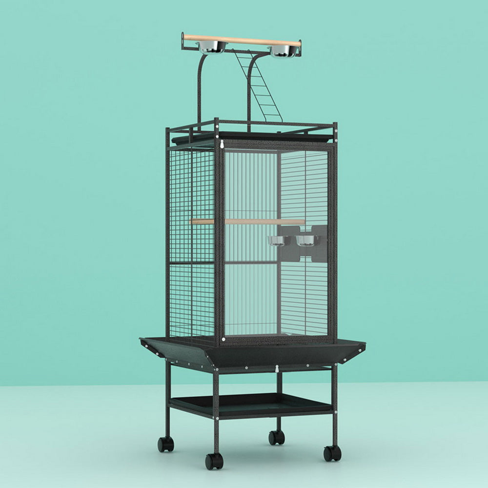 Bird Cages & Stands