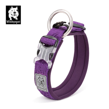 Whinhyepet Collar purple - XL