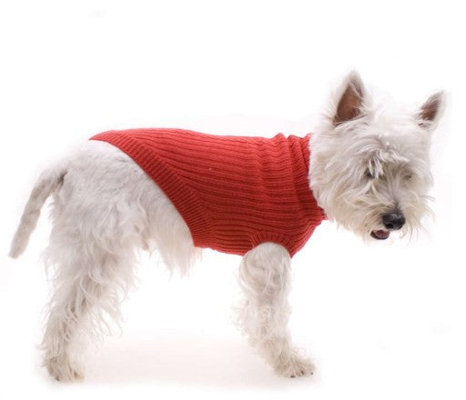 Red Dog Jumper 35cm