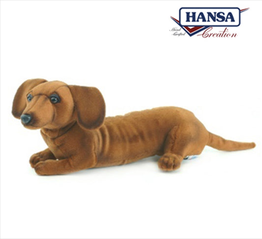 Dachshund Pup 40cm