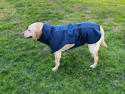 Pet Dog Raincoat Poncho Jacket Windbreaker Waterproof Clothes with Harness Hole-L-Black