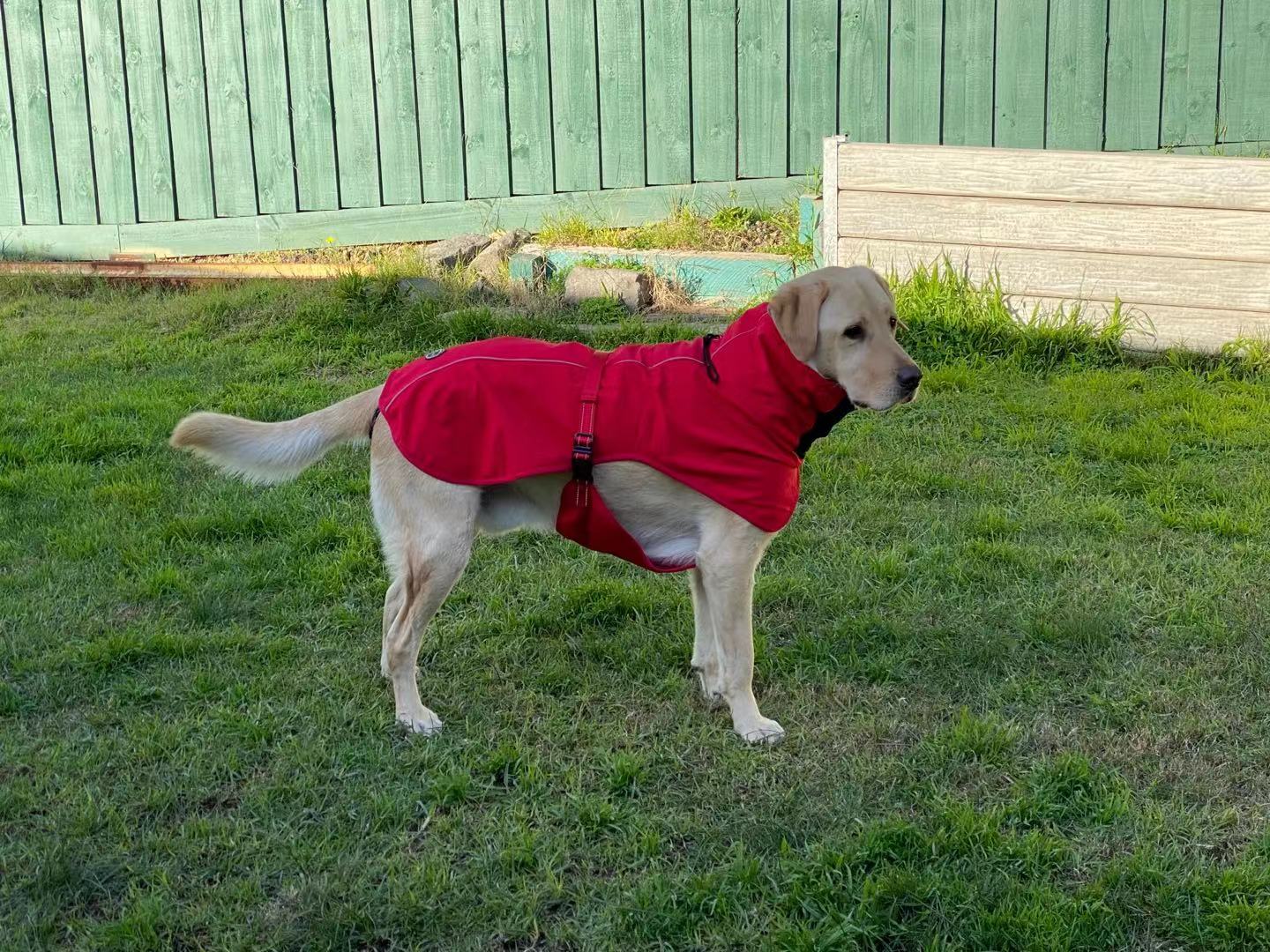 Pet Dog Raincoat Poncho Jacket Windbreaker Waterproof Clothes with Harness Hole-XXL-Red