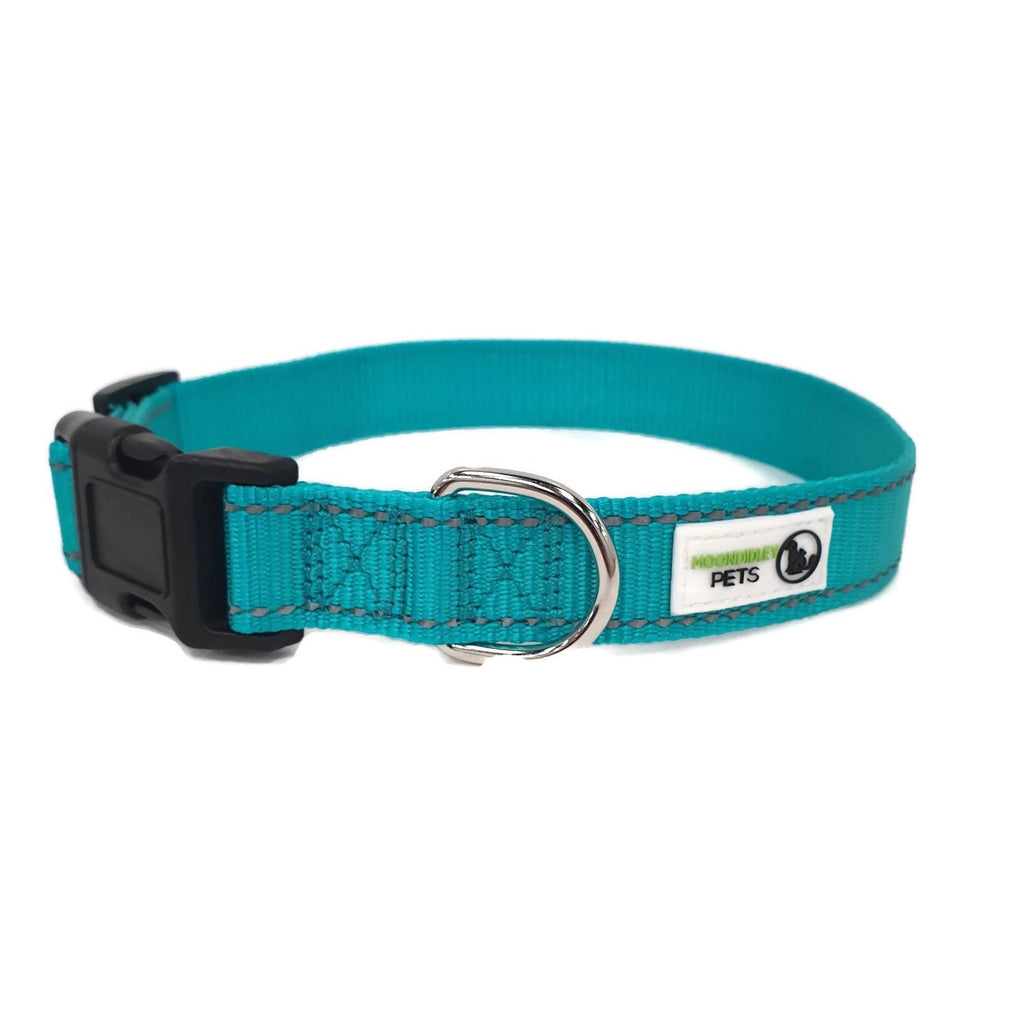 Nylon w/Reflective Stitching Dog Collar Large Turquoise - Moondidley Pets