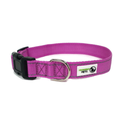 Nylon w/Reflective Stitching Dog Collar Small Purple - Moondidley Pets