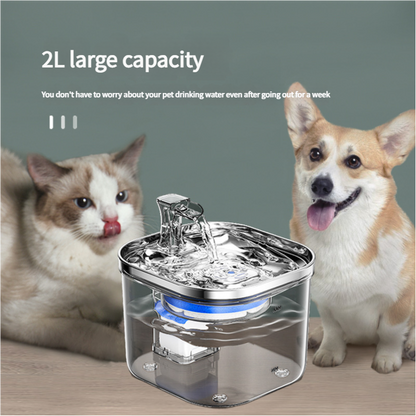 USB Powered Pet Water Fountain with Filter, Starter Kit (2L Capacity)